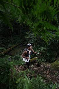 BIB: 
                            <button type="button" onclick="openModal(16030183)" class="btn btn-primary btn-sm float-right btn-popup" data-toggle="modal" data-target=".modal-high-quality">
                        <i class="fas fa-shopping-cart"></i> Add to Cart
                    </button>
                                            <button type="button" onclick="isThisMe(16030183, true)" class="btn btn-success btn-sm float-right btn-popup btn-isme hidden" data-toggle="tooltip" data-placement="bottom" title="นี่คือรูปของคุณใช่ไหม คลิกที่นี่เพื่อเอาเข้าอัลบั้ม">
                        <i class="fas fa-plus"></i> Add to album
                    </button>
                    <button type="button" onclick="isThisMe(16030183, false)" class="btn btn-warning btn-sm float-right btn-popup btn-isnotme hidden">
                        <i class="fas fa-ban"></i> Remove from album
                    </button>